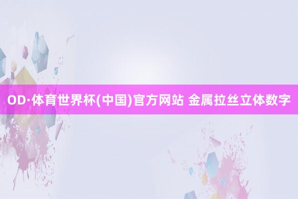 OD·体育世界杯(中国)官方网站 金属拉丝立体数字