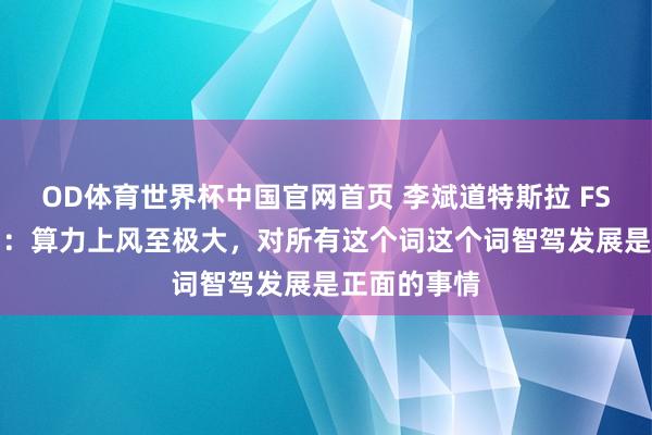 OD体育世界杯中国官网首页 李斌道特斯拉 FSD 参加中国：算力上风至极大，对所有这个词这个词智驾发展是正面的事情