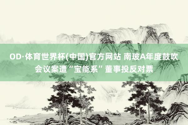 OD·体育世界杯(中国)官方网站 南玻A年度鼓吹会议案遭“宝能系”董事投反对票