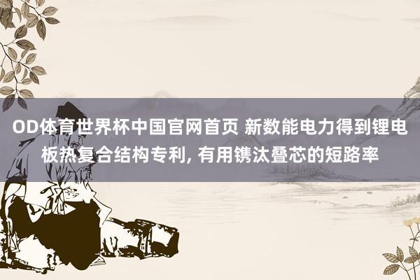 OD体育世界杯中国官网首页 新数能电力得到锂电板热复合结构专利， 有用镌汰叠芯的短路率