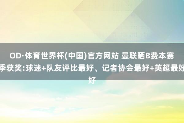 OD·体育世界杯(中国)官方网站 曼联晒B费本赛季获奖:球迷+队友评比最好、记者协会最好+英超最好