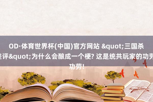 OD·体育世界杯(中国)官方网站 "三国杀差评"为什么会酿成一个梗? 这是统共玩家的功劳!