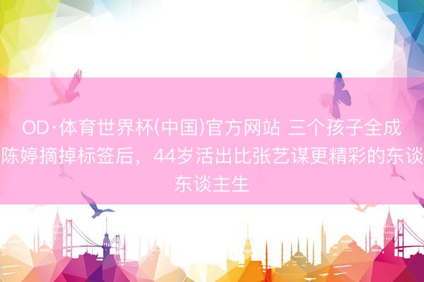 OD·体育世界杯(中国)官方网站 三个孩子全成才！陈婷摘掉标签后，44岁活出比张艺谋更精彩的东谈主生