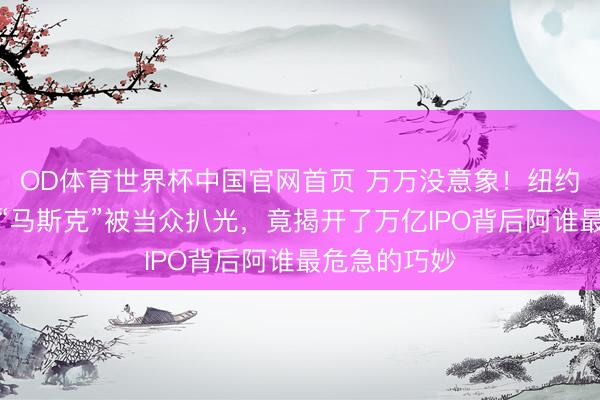 OD体育世界杯中国官网首页 万万没意象！纽约期间广场的“马斯克”被当众扒光，竟揭开了万亿IPO背后阿谁最危急的巧妙