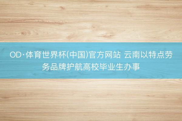 OD·体育世界杯(中国)官方网站 云南以特点劳务品牌护航高校毕业生办事