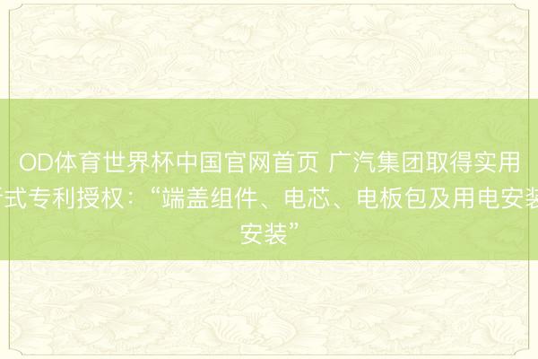 OD体育世界杯中国官网首页 广汽集团取得实用新式专利授权：“端盖组件、电芯、电板包及用电安装”
