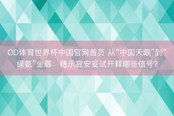 OD体育世界杯中国官网首页 从“中国天眼”到“绿氨”坐蓐：穗示寂安妥试开释哪些信号？