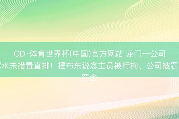 OD·体育世界杯(中国)官方网站 龙门一公司浑水未措置直排！摆布东说念主员被行拘、公司被罚金