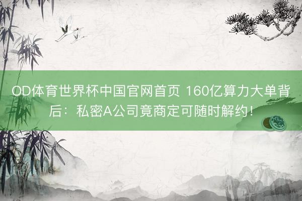 OD体育世界杯中国官网首页 160亿算力大单背后：私密A公司竟商定可随时解约！