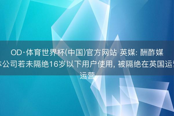 OD·体育世界杯(中国)官方网站 英媒: 酬酢媒体公司若未隔绝16岁以下用户使用, 被隔绝在英国运营