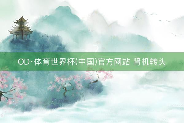 OD·体育世界杯(中国)官方网站 肾机转头