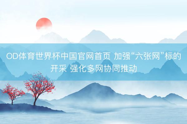 OD体育世界杯中国官网首页 加强“六张网”标的开采 强化多网协同推动